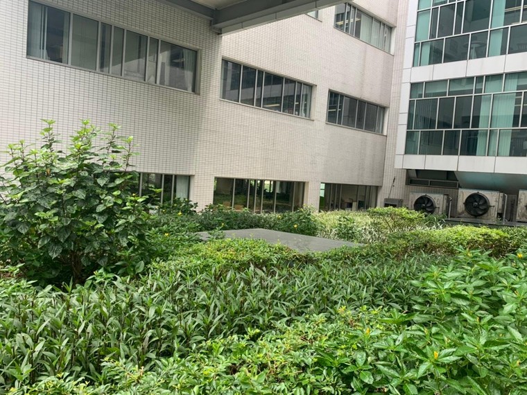 Trải nghiệm Toà nhà xanh Liên Hợp Quốc ảnh 4