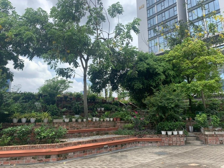 Trải nghiệm Toà nhà xanh Liên Hợp Quốc ảnh 3