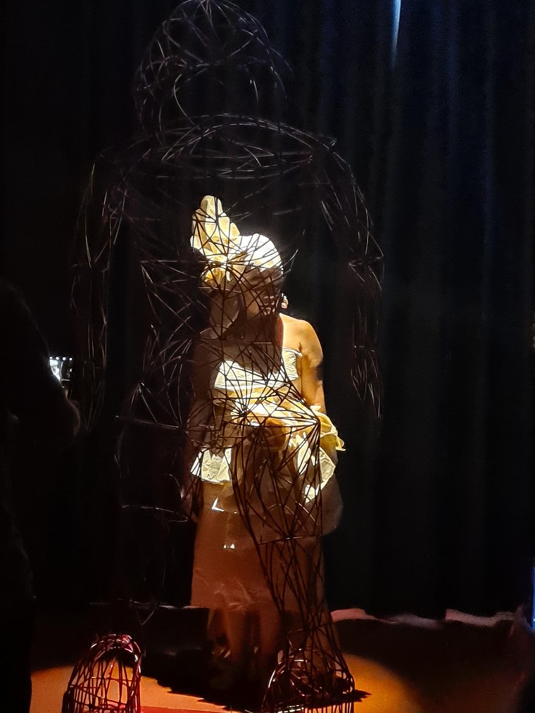 Họa sĩ Trương Thúy Anh và 'CƯỚI' ảnh 6