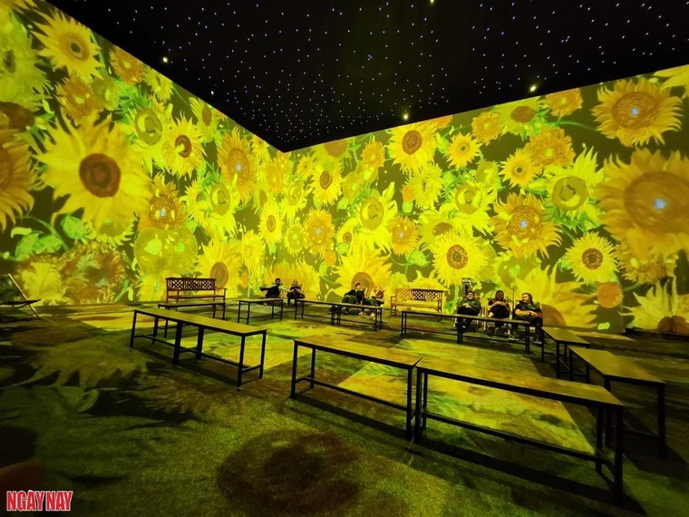 Trải nghiệm nhập vai thực tế ảo London: Bước vào tranh của Van Gogh ảnh 7