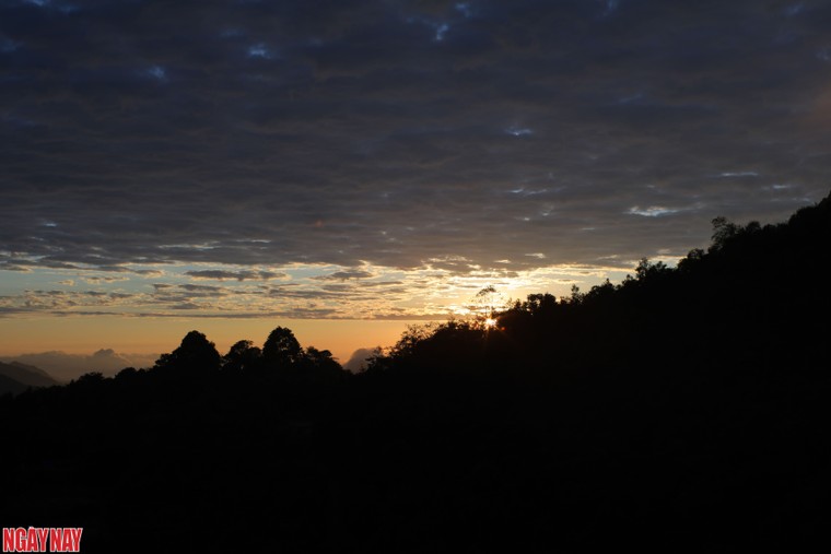 Hương trà thoáng trong mây ảnh 12