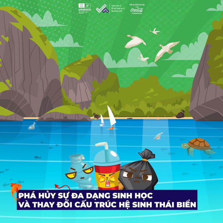 UNESCO: Rác thải nhựa gây tác hại đến khu dự trữ sinh quyển như thế nào? ảnh 3