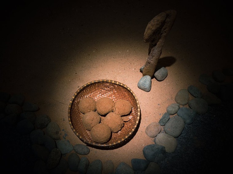 Liên hiệp các Hội UNESCO Việt Nam đồng hành cùng dự án môi trường - nghệ thuật "Sự Sống" ảnh 2