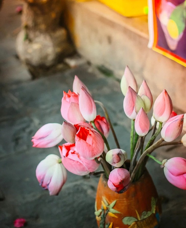 Chiêm ngưỡng một Hội An mơ màng tại triển lãm cá nhân tại Kervignac, Pháp ảnh 3