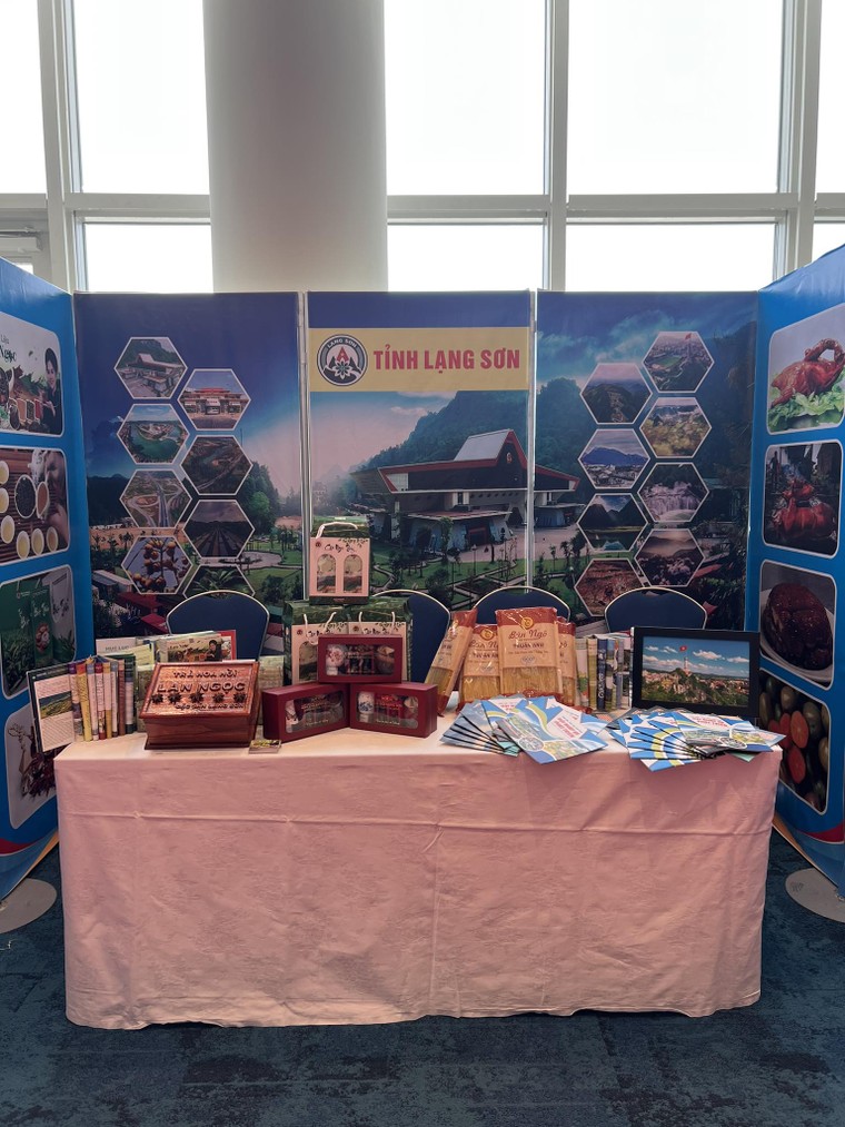 Những triển vọng hợp tác Việt Nam - Nhật Bản tại Diễn đàn Kinh tế Kiều bào lần II, tỉnh Fukuoka ảnh 6