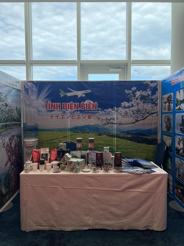 Những triển vọng hợp tác Việt Nam - Nhật Bản tại Diễn đàn Kinh tế Kiều bào lần II, tỉnh Fukuoka ảnh 7