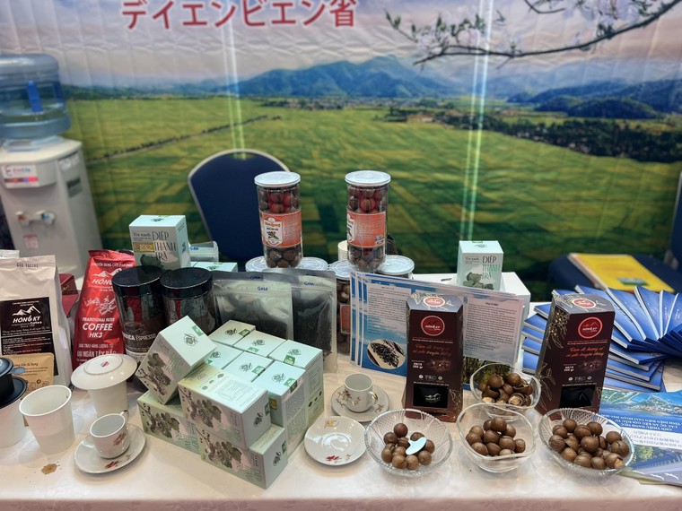 Những triển vọng hợp tác Việt Nam - Nhật Bản tại Diễn đàn Kinh tế Kiều bào lần II, tỉnh Fukuoka ảnh 8