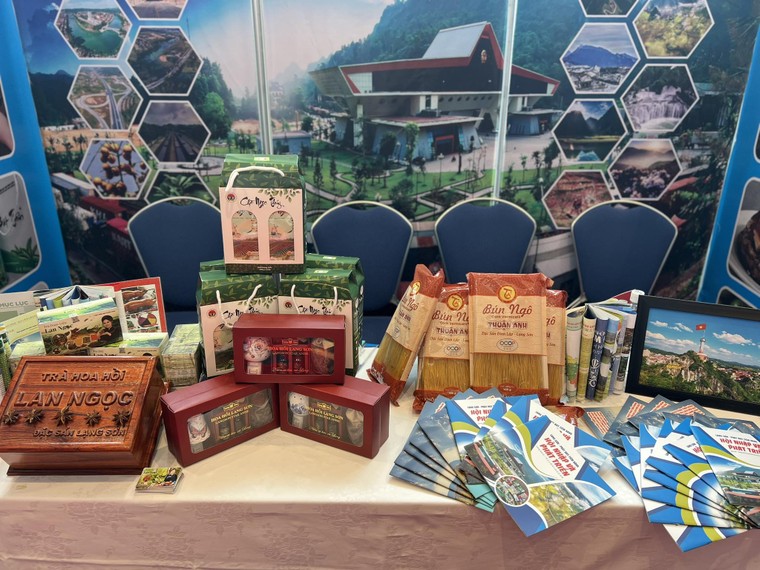 Những triển vọng hợp tác Việt Nam - Nhật Bản tại Diễn đàn Kinh tế Kiều bào lần II, tỉnh Fukuoka ảnh 9