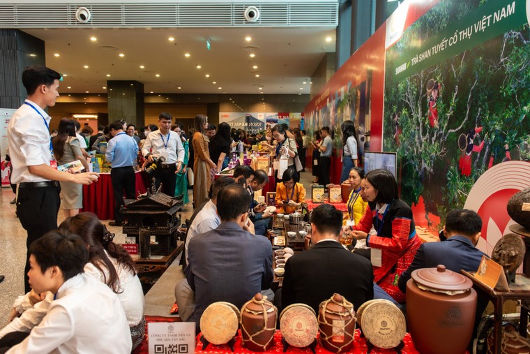 Thú vị bàn trà Shanam tại "Meet Japan 2023" ảnh 6