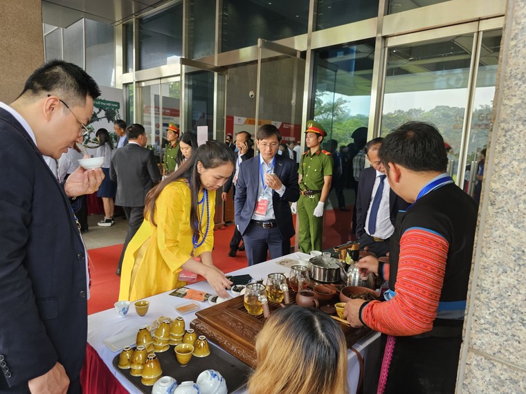 Thú vị bàn trà Shanam tại "Meet Japan 2023" ảnh 10