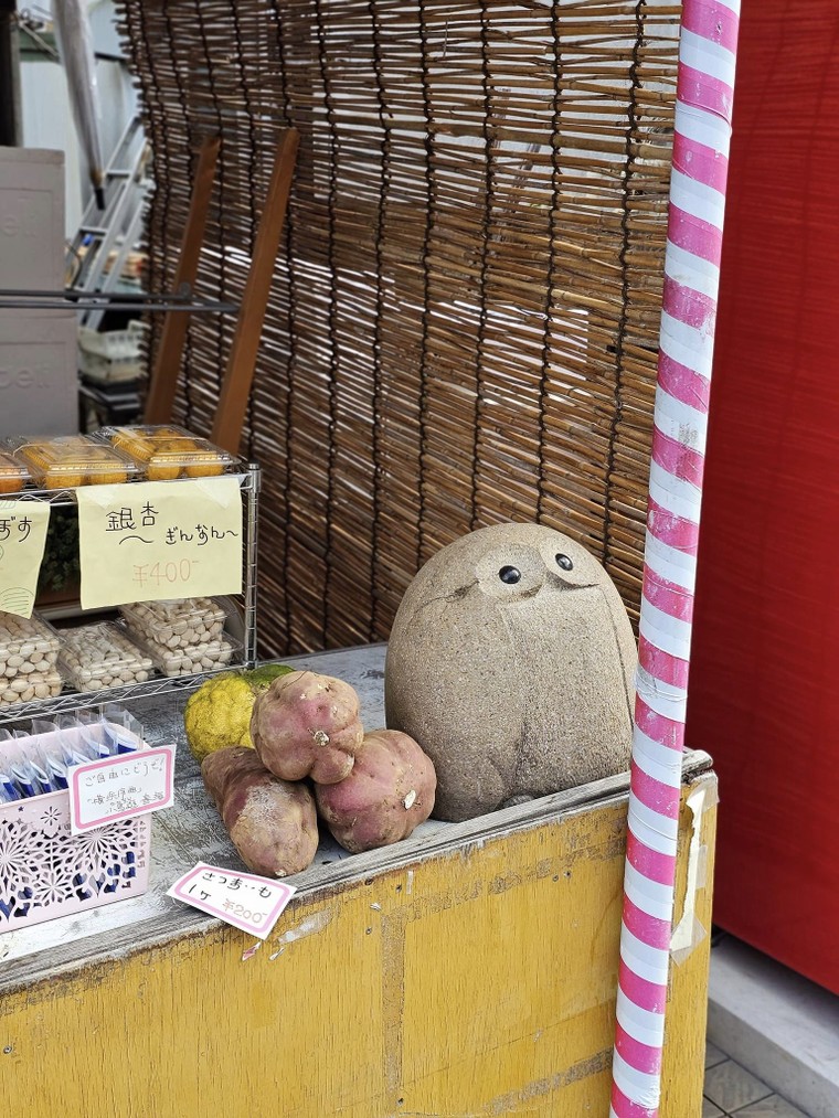 Tham quan gì khi có 10 tiếng quá cảnh ở Narita ảnh 10