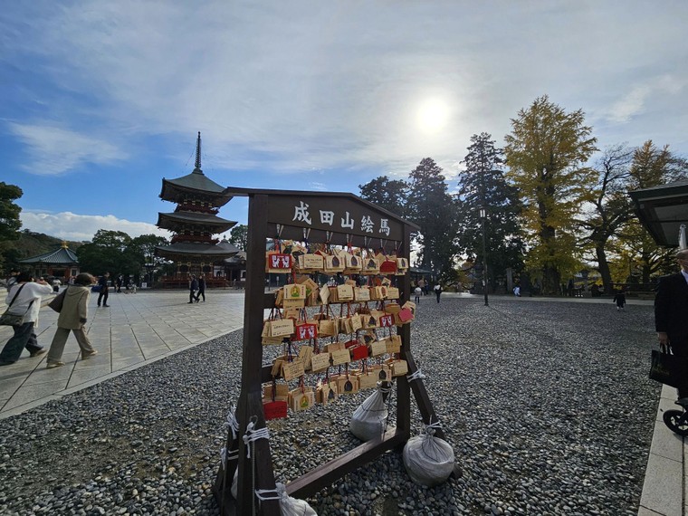 Tham quan gì khi có 10 tiếng quá cảnh ở Narita ảnh 2