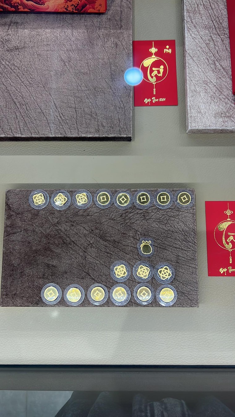 Giới trẻ Việt đua nhau nuôi heo đất và heo mini tích vàng ảnh 5