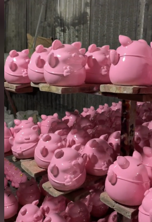 Giới trẻ Việt đua nhau nuôi heo đất và heo mini tích vàng ảnh 3