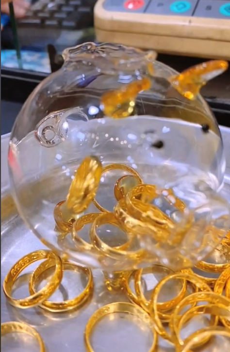 Giới trẻ Việt đua nhau nuôi heo đất và heo mini tích vàng ảnh 4