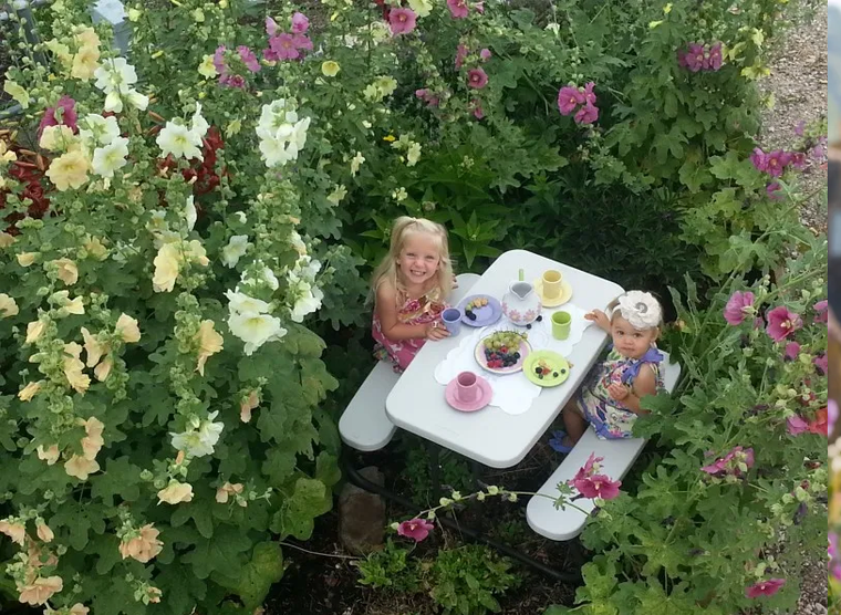 Hoa thục quỳ: Từ khu vườn cổ kính đến kiệt tác đèn Tiffany ảnh 2