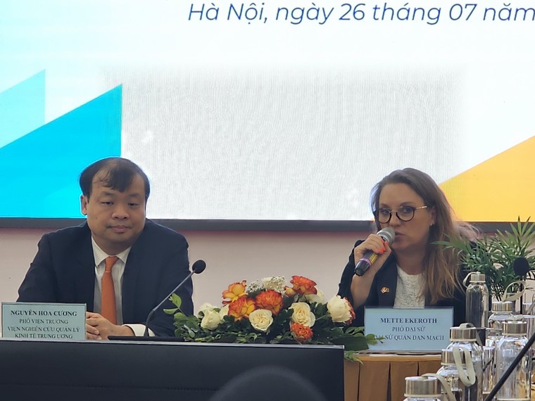 CIEM: Giới thiệu ấn phẩm "Thúc đẩy đổi mới sáng tạo xanh trong doanh nghiệp nhỏ và vừa ở Việt Nam" ảnh 5