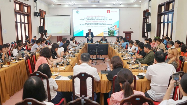 CIEM: Giới thiệu ấn phẩm "Thúc đẩy đổi mới sáng tạo xanh trong doanh nghiệp nhỏ và vừa ở Việt Nam" ảnh 4