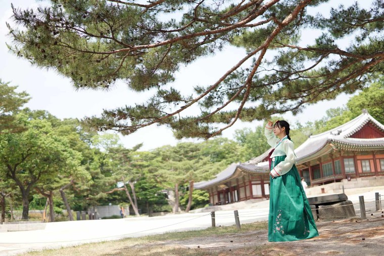 Từ Việt phục đến Kimono: Quảng bá du lịch qua trải nghiệm trang phục địa phương ảnh 3