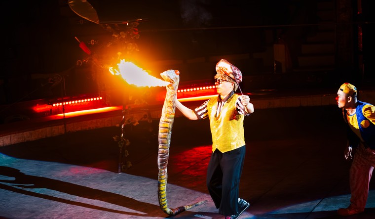 Xiếc Việt nỗ lực chuyển mình trong kỷ nguyên mới ảnh 1