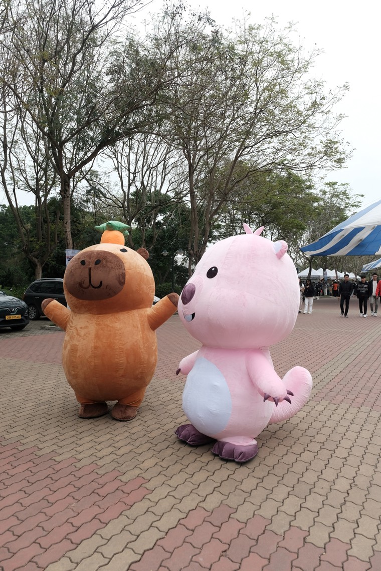 FPTU Camp 2025: Ngày hội tuổi trẻ rực rỡ của gần 15.000 học sinh – Trải nghiệm hôm nay, vươn tới ngày mai ảnh 7