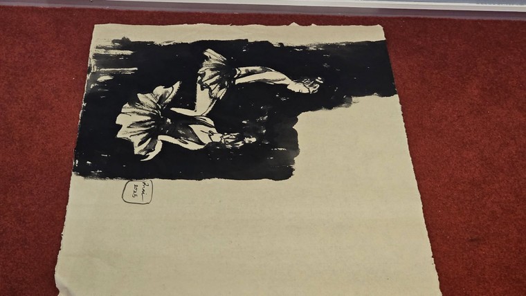 Ký họa ballet: "Những cánh hoa bay" ảnh 3