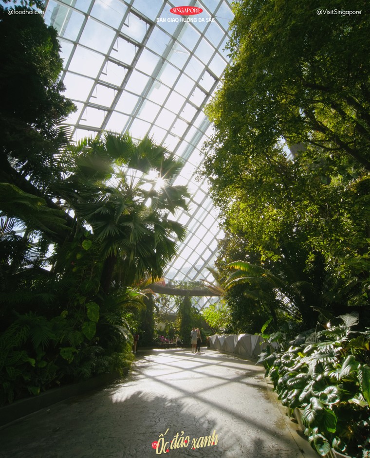 Khám phá Singapore qua lăng kính sáng tạo: Gợi ý cho bộ ảnh mùa hè độc đáo ảnh 6