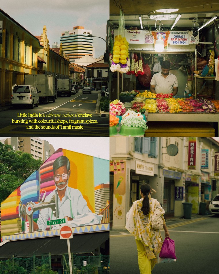 Khám phá Singapore qua lăng kính sáng tạo: Gợi ý cho bộ ảnh mùa hè độc đáo ảnh 2