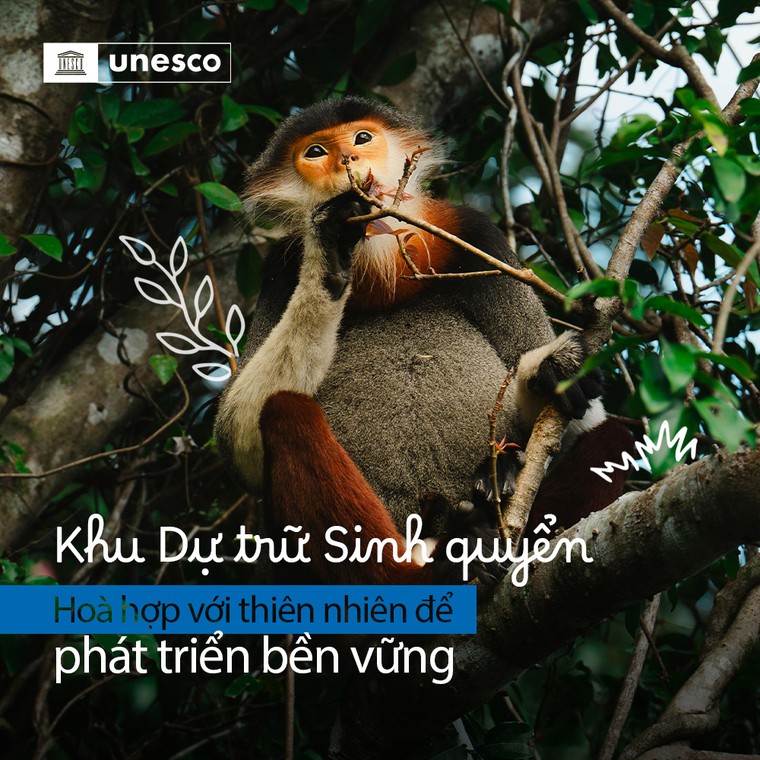 Nơi thiên nhiên và con người hòa hợp: Cách tiếp cận bền vững từ các Khu Dự trữ Sinh quyển ảnh 1