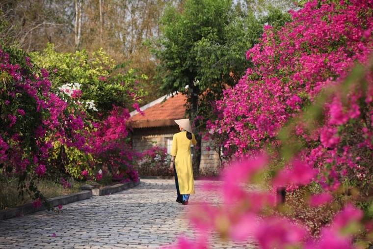 Du lịch bền vững tại Việt Nam: Những điểm đến nổi bật trong năm 2025 ảnh 1