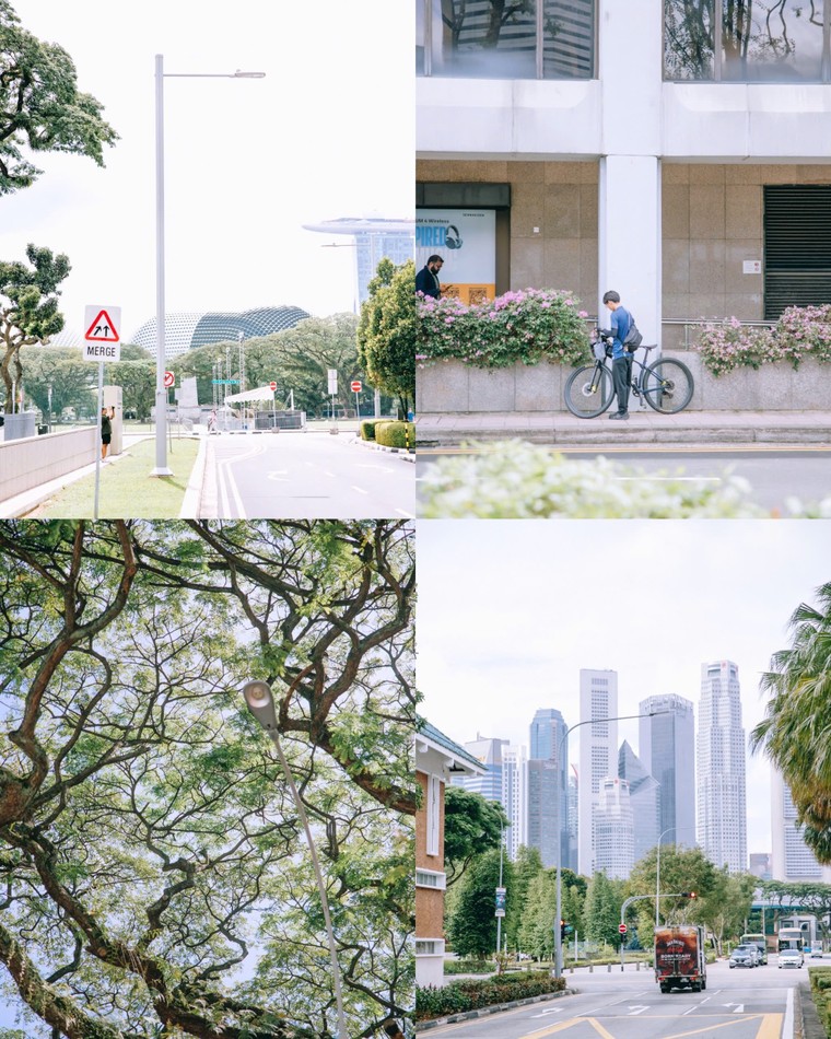 Chiêm ngưỡng vẻ đẹp thơ mộng của singapore dọc theo các tuyến xe buýt ảnh 2