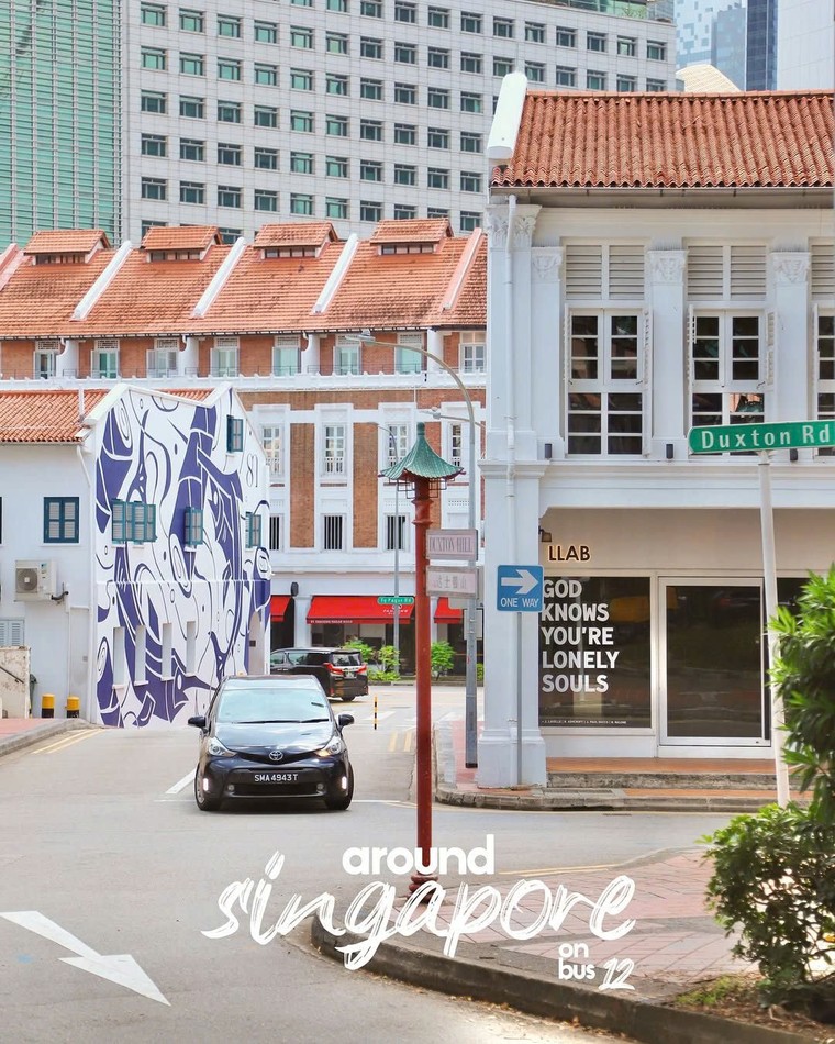 Chiêm ngưỡng vẻ đẹp thơ mộng của singapore dọc theo các tuyến xe buýt ảnh 4