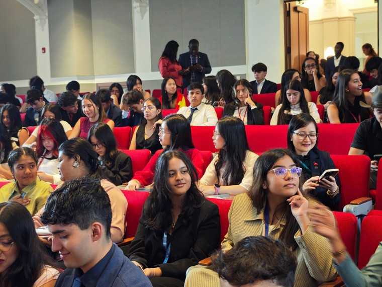 Việt Nam ghi dấu ấn văn hóa tại Trại hè IMUN 2025 của Trung tâm UNESCO Vì Hòa bình tại Washington ảnh 8