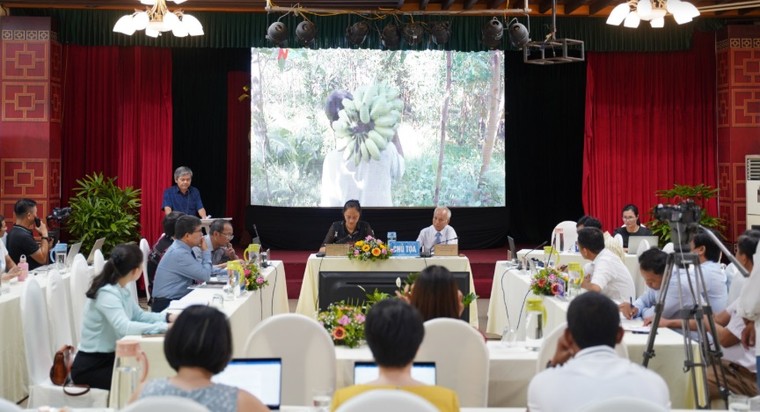 Du lịch Việt Nam chuyển mình bền vững nhờ sức bật từ văn hóa, sáng tạo ảnh 1