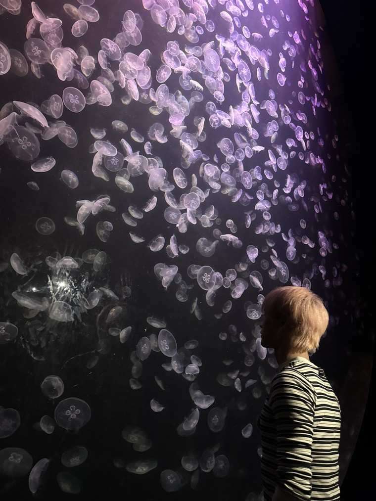 JSOL dẫn “fan” đi khám phá Singapore qua những địa điểm mới mẻ và độc đáo ảnh 1