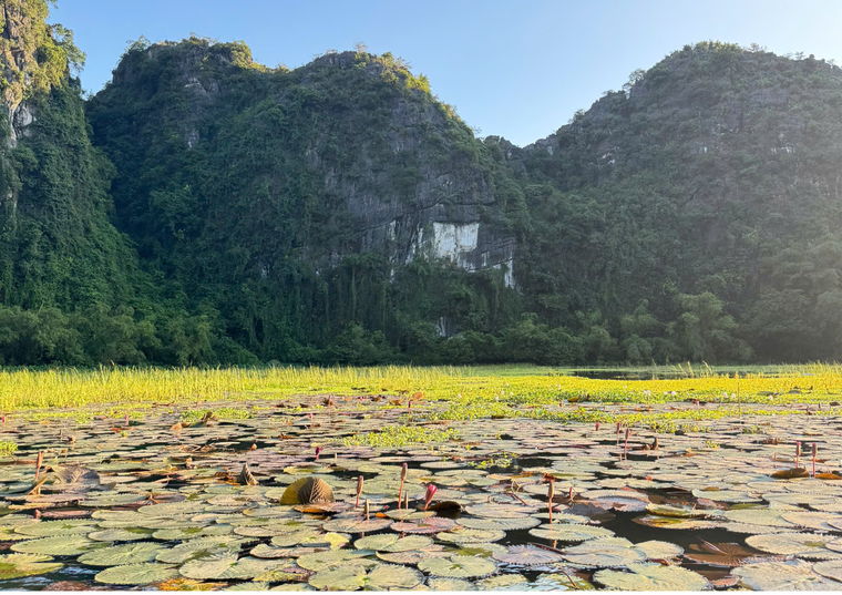 Tam Cốc - Bích Động: Vẻ đẹp sinh thái giữa miền “tiên cảnh” ảnh 3