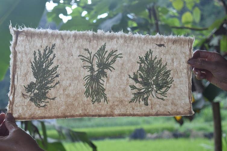 Hồn giấy Dìa Trên ảnh 3