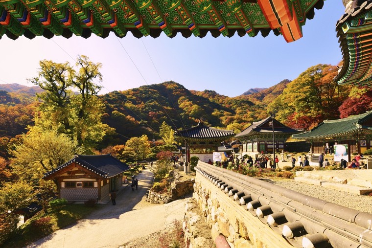 Gợi ý các điểm đến lưu trú phù hợp cho trải nghiệm ẩm thực trong mùa du lịch cuối năm ảnh 1