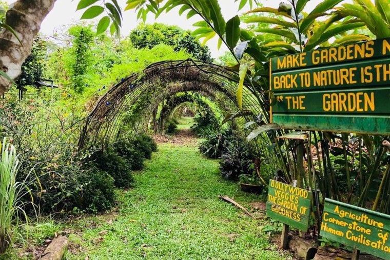 Khám phá những "viên ngọc ẩn" của Singapore cho chuyến đi tái tạo năng lượng đầu năm mới ảnh 2