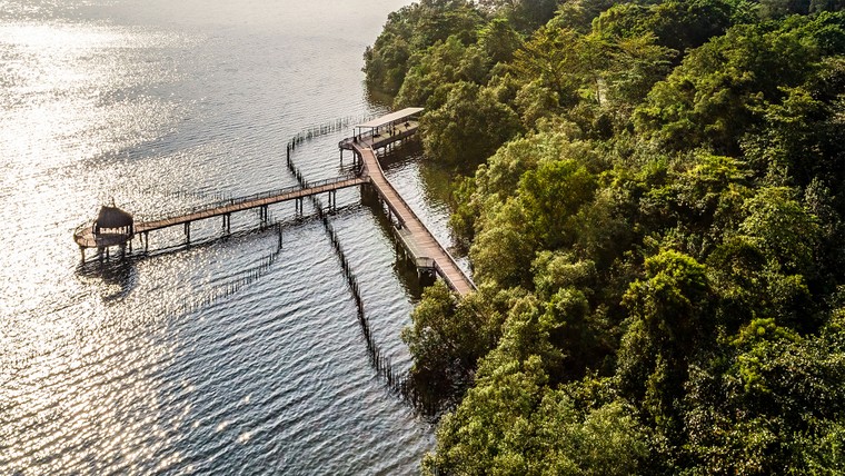 Du lịch kiểu “sống chậm”: Ngắm nhìn Singapore qua lăng kính tĩnh lặng ảnh 1