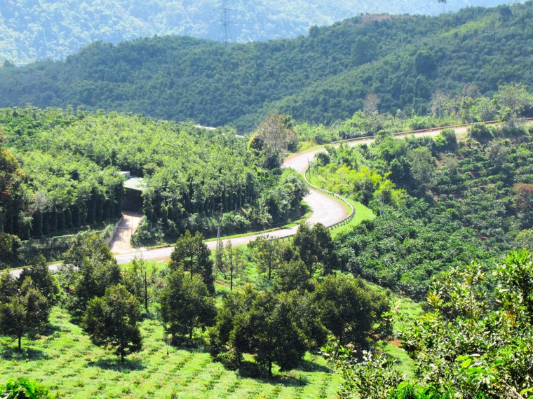 Road trip Việt Nam trở thành xu hướng du lịch nổi bật mùa xuân 2026 ảnh 3