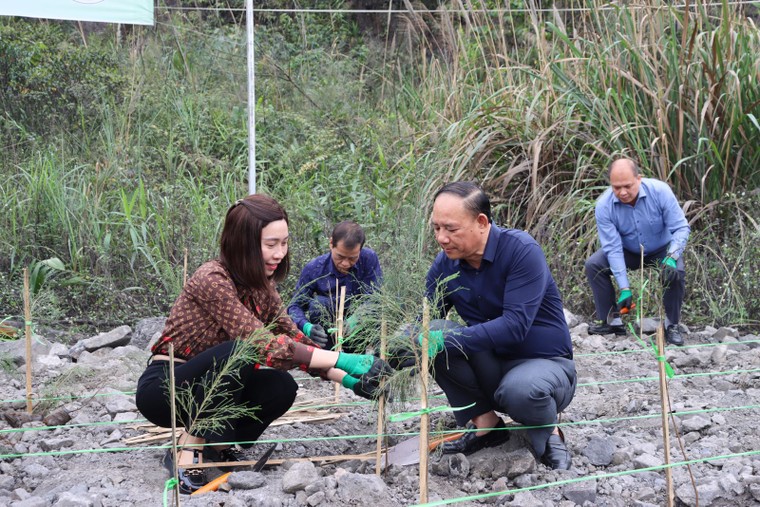 Kiên định với hành trình chuyển đổi “nâu” sang “xanh” ảnh 1