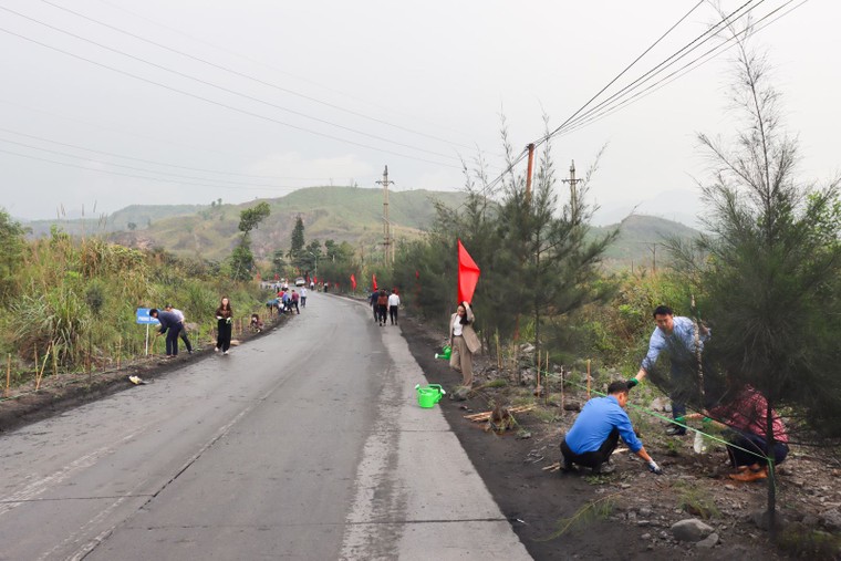 Kiên định với hành trình chuyển đổi “nâu” sang “xanh” ảnh 2