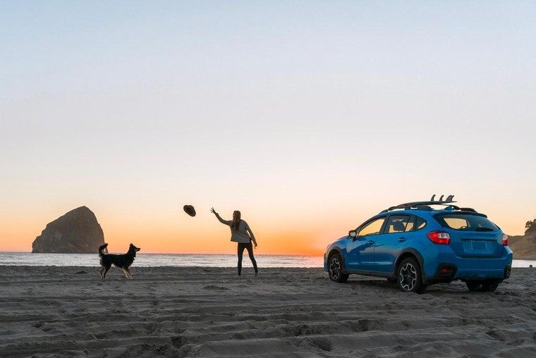 Tác động của thú cưng đến diện mạo ngành du lịch ảnh 1