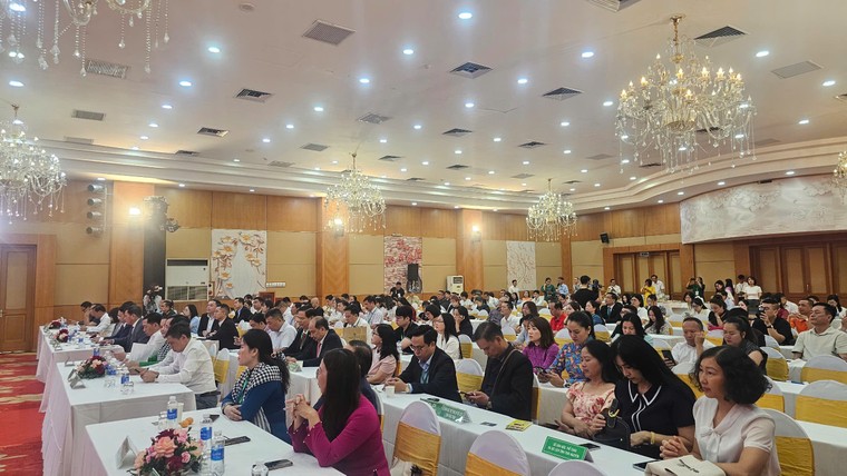 Hội nghị xúc tiến, quảng bá du lịch Đồng bằng sông Cửu Long tại Hà Nội ảnh 1