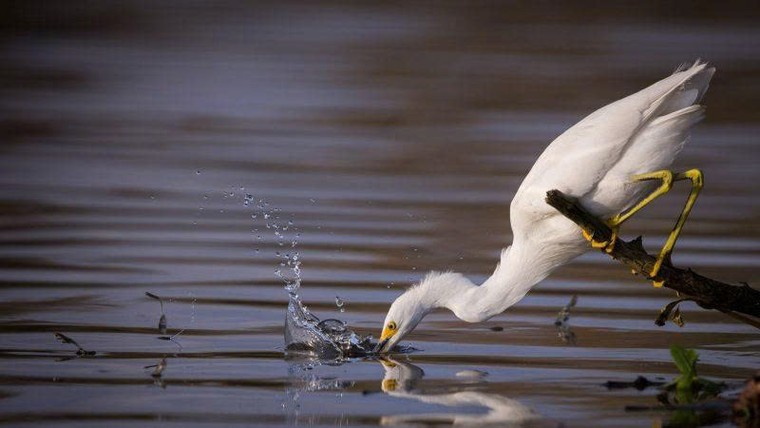 Hát ru: “Viên ngọc sáng” khơi nguồn nghệ thuật dân gian Việt ảnh 4