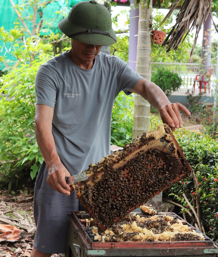 “Giọt vàng” Thanh Hà: Từ dấu chân du mục đến khát vọng nâng tầm hương quê ảnh 3