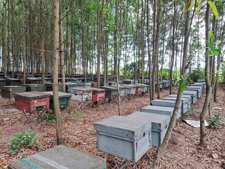 “Giọt vàng” Thanh Hà: Từ dấu chân du mục đến khát vọng nâng tầm hương quê ảnh 2
