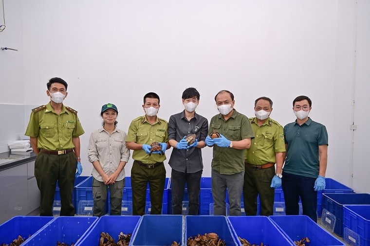 Từ trung tâm cứu hộ đến những cánh rừng xanh ảnh 1