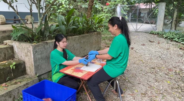 Từ trung tâm cứu hộ đến những cánh rừng xanh ảnh 4